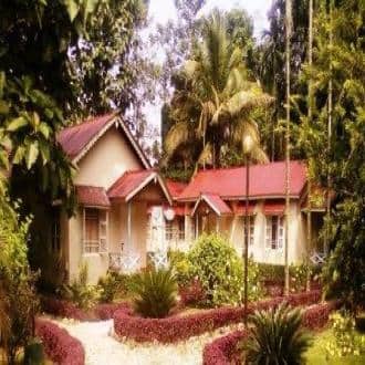 Luxurious Stay In Lataguri, Jalpaiguri 5